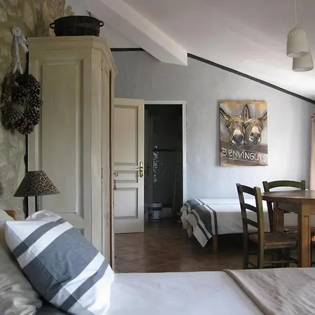 Maspitra Bed & Breakfast Besalú