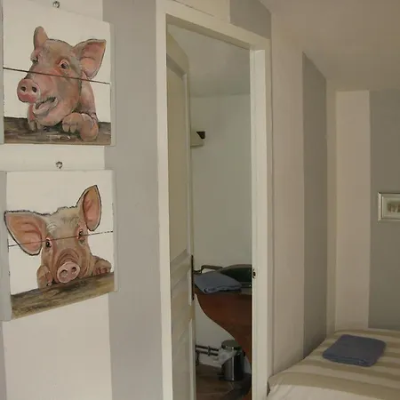 Maspitra Bed & Breakfast